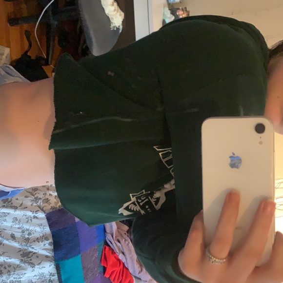 Lake Michigan Cropped hoodie - Picture 4 of 5